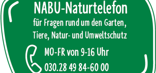 Banner NABU Naturtelefon