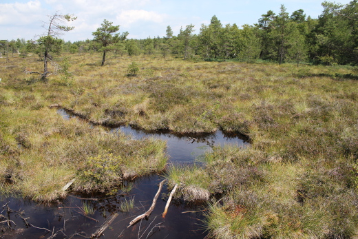20110709_marion_urlaub_wuestensachsen_313_520x347 20110709_marion_urlaub_wuestensachsen_313_520x347