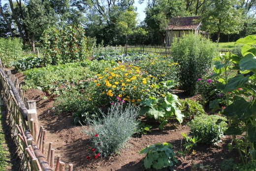 Alter Bauerngarten mit bunten Blumen und Flechtzaun