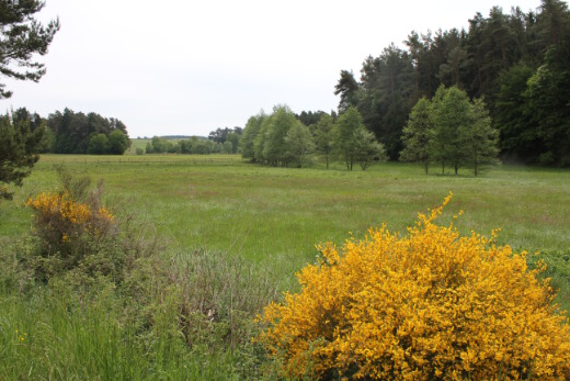 20150531_nabu_radwanderung_033_520x347 20150531_nabu_radwanderung_033_520x347