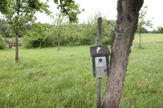20150531_nabu_radwanderung_112_520x347 20150531_nabu_radwanderung_112_520x347