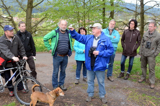 20150503_nabu_vogelstimmenexkursion_001_520x347 20150503_nabu_vogelstimmenexkursion_001_520x347