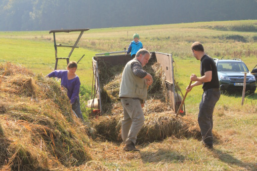 20160924_nabu_feuchtwiesen_045_520x347 20160924_nabu_feuchtwiesen_045_520x347