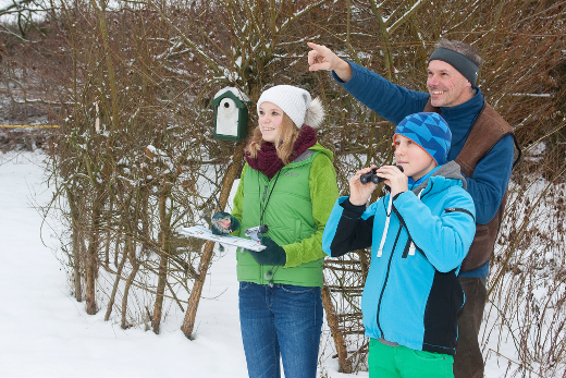 hecker_vogelbeobachtung-im-winter_2_520x347