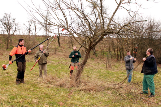 Baumschnitt im Moorsgrund 2016