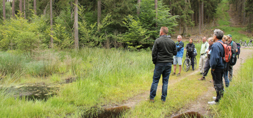 Moorbesucher im renaturierten Moor im Christenberger Talgrund