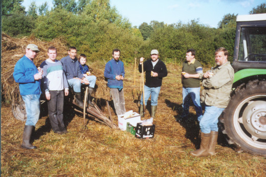 20031004_nabu_feuchtwiesenpflege_seitenbruch_004_520x347 20031004_nabu_feuchtwiesenpflege_seitenbruch_004_520x347
