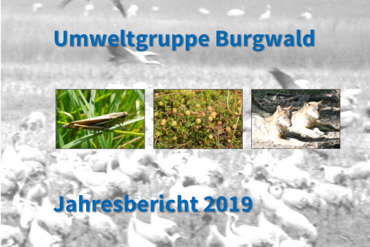 Titelblatt des Jahresberichts 2019 mit Fotos einer Sumpfschrecke, moosbeeren und zweier Wölfe